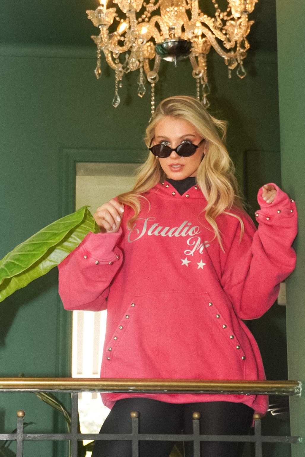 Hoodie La Vie in Rose